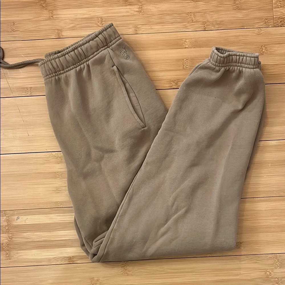 Aritzia TNA cozy AF fleece sweats